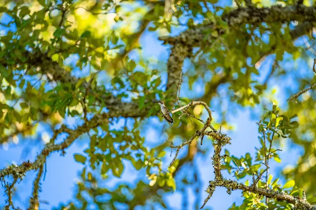 $349,900 | 461 Taurus Lane, Junction, TX 76849