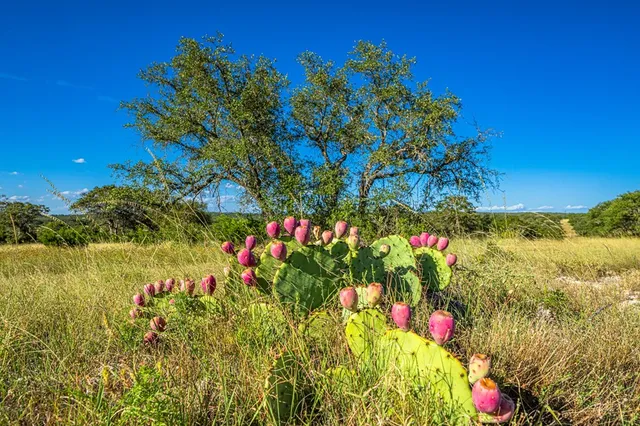 $349,900 | 461 Taurus Lane, Junction, TX 76849