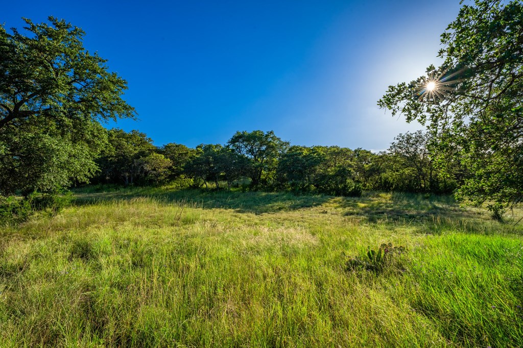 461 Taurus Lane Junction, TX 76849 - Photo 17 of 18