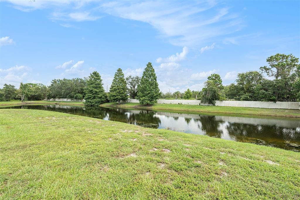 15854 Stable Run Drive Spring Hill, FL 34610 - Photo 25 of 28 a view of a lake with houses in the background
