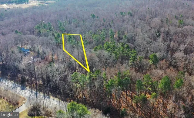 a view of a plant in a garden