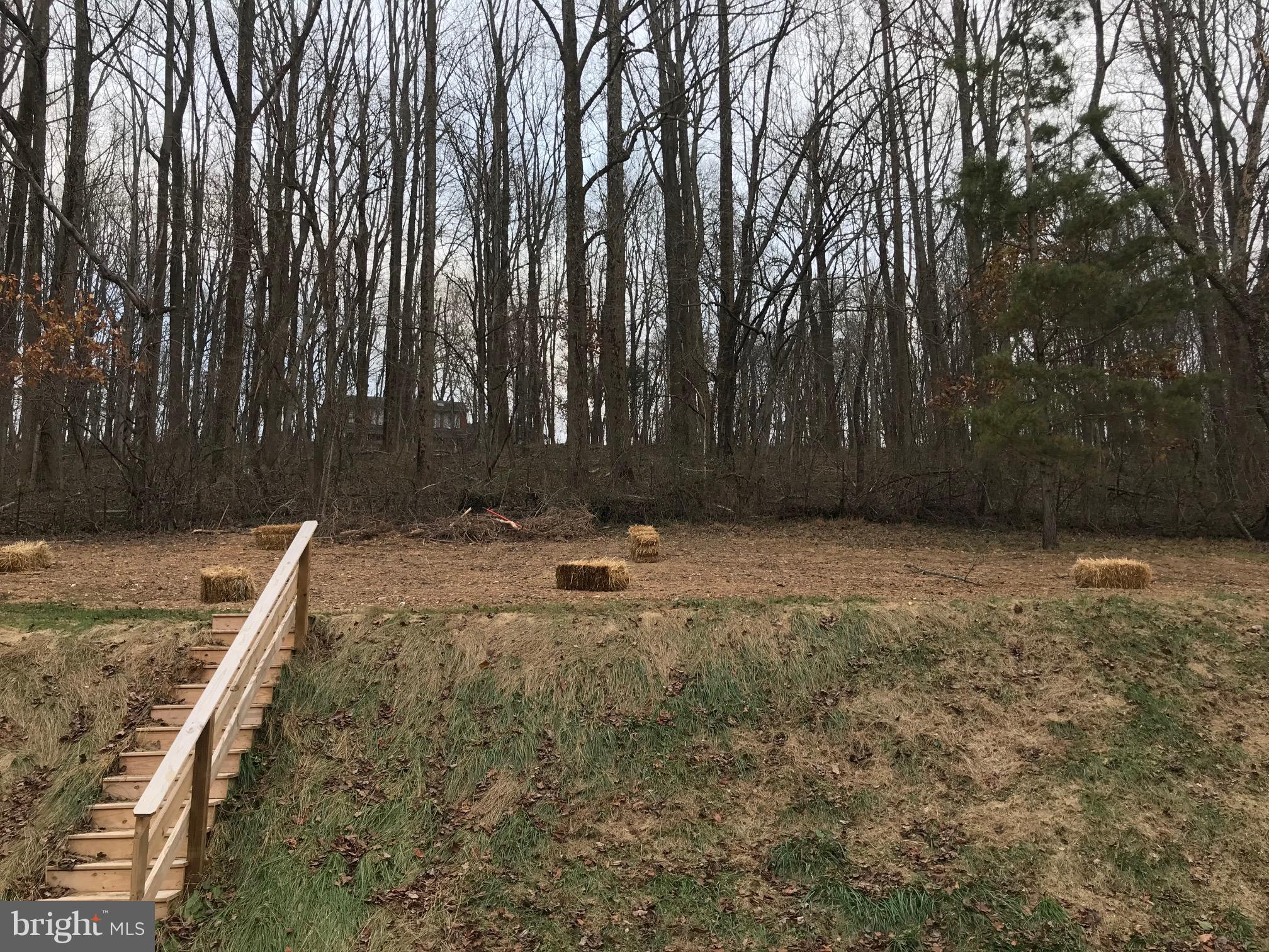 449 Twin Arch Road Mount Airy, MD 21771 - Photo 5 of 33 Exterior Rear