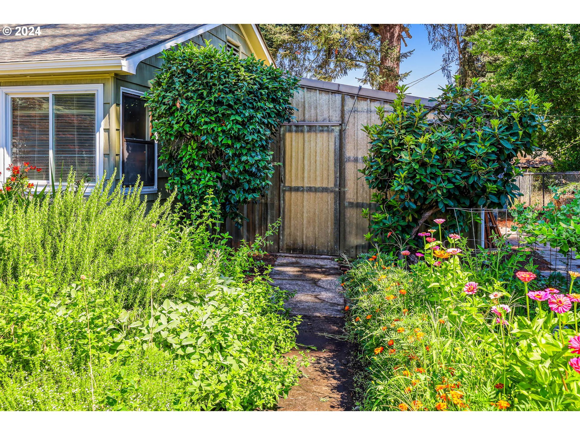 1427 Anderson Lane Springfield, OR 97477 - Photo 6 of 48 a view of a house with plants