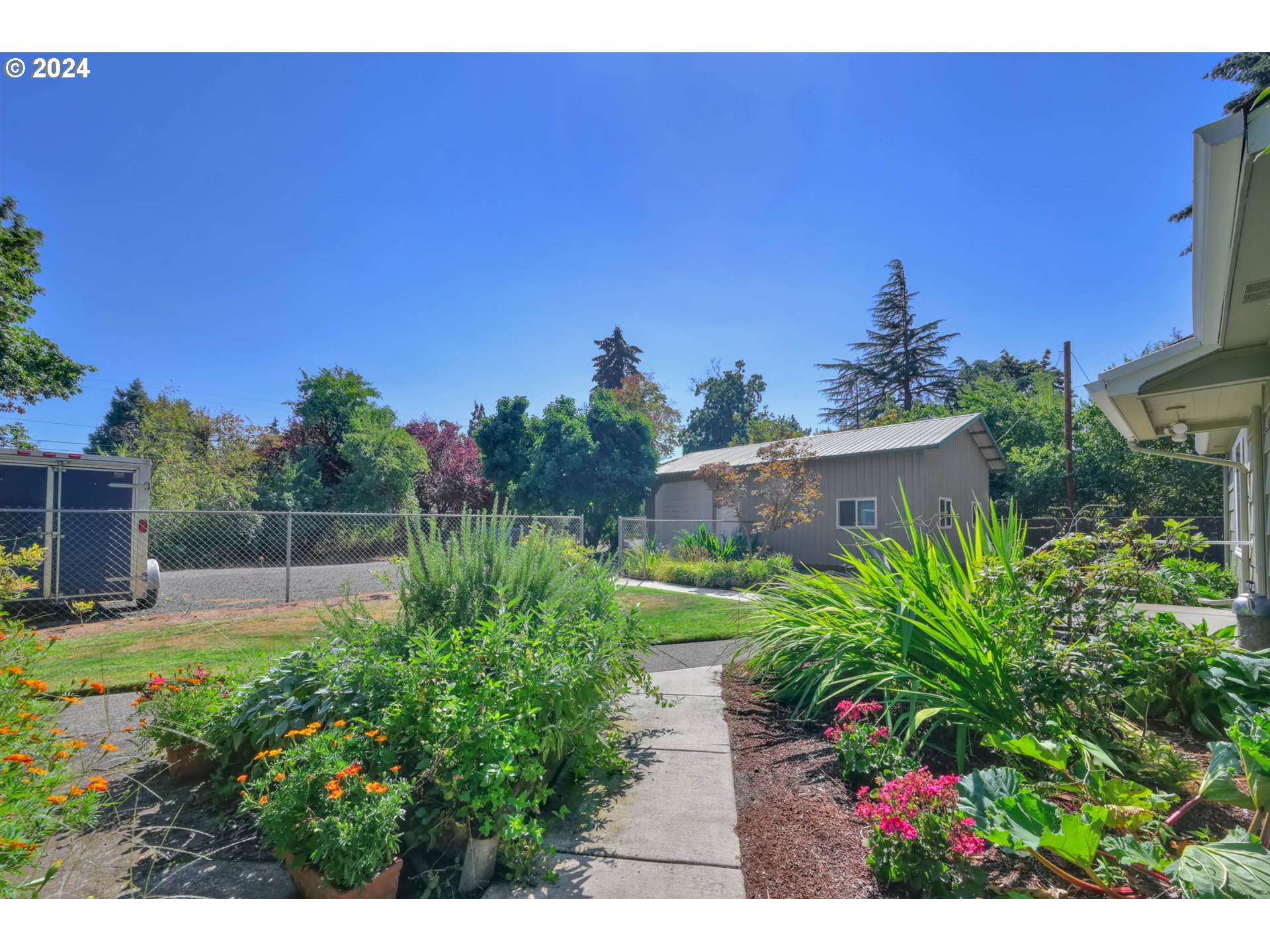 1427 Anderson Lane Springfield, OR 97477 - Photo 7 of 48 a view of a backyard with potted plants and large trees
