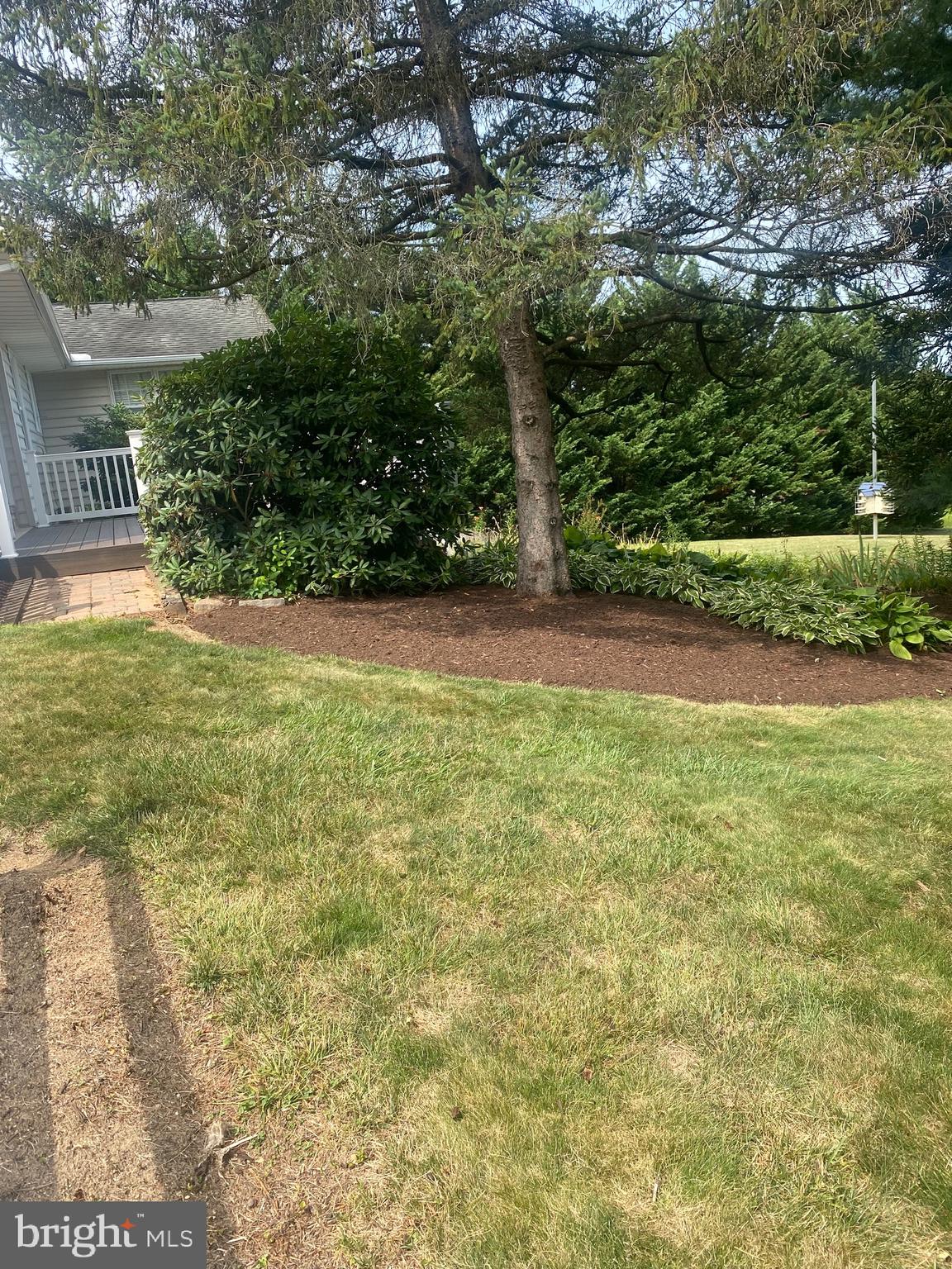 Landscaped Side Home