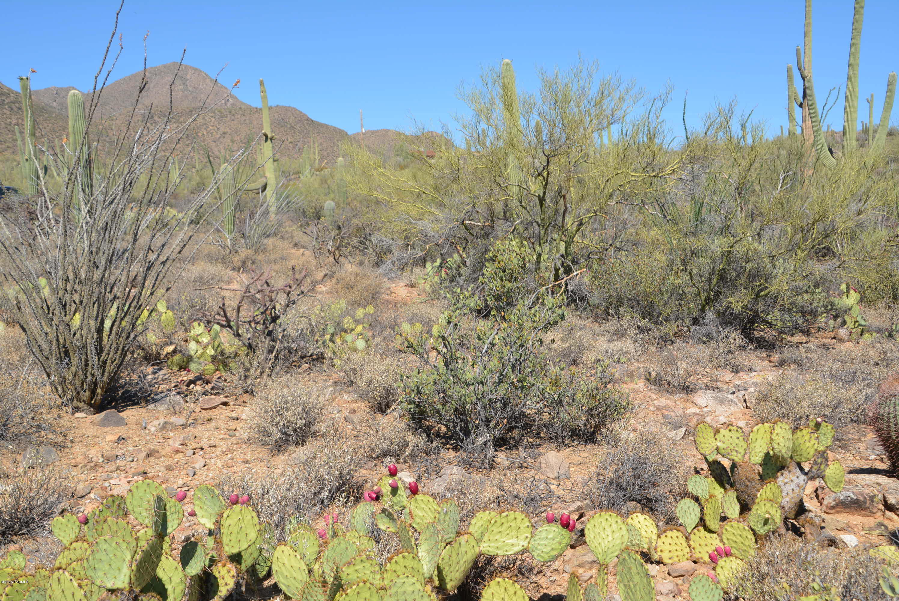 0 Broken Spring Tucson, AZ 85745 - Photo 21 of 24