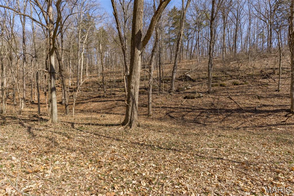 0 New Ortenau Road Ste. Genevieve, MO 63670 - Photo 11 of 48