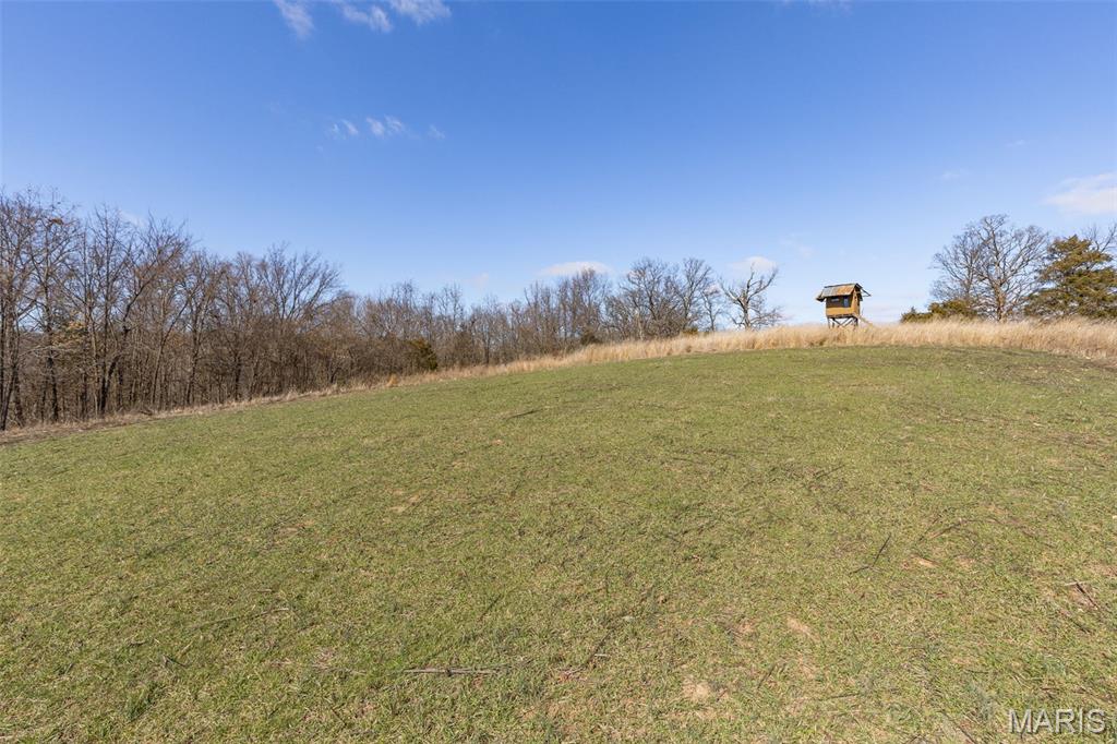 0 New Ortenau Road Ste. Genevieve, MO 63670 - Photo 13 of 48
