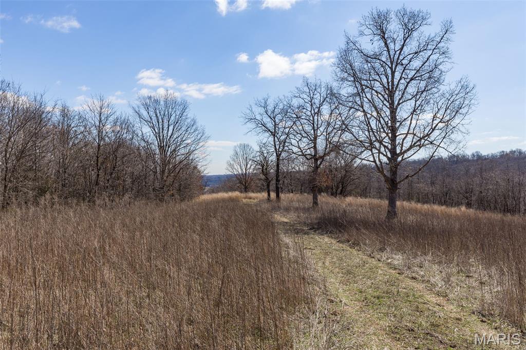 0 New Ortenau Road Ste. Genevieve, MO 63670 - Photo 14 of 48