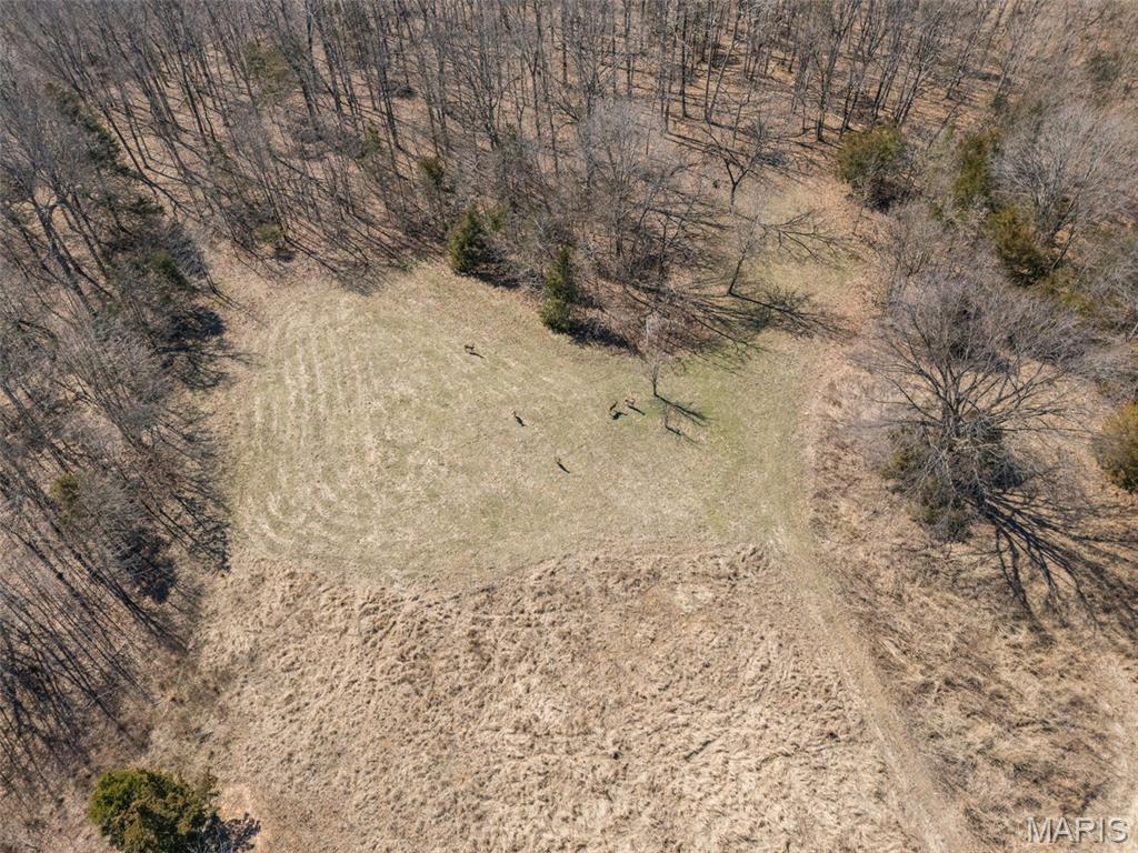 0 New Ortenau Road Ste. Genevieve, MO 63670 - Photo 22 of 48