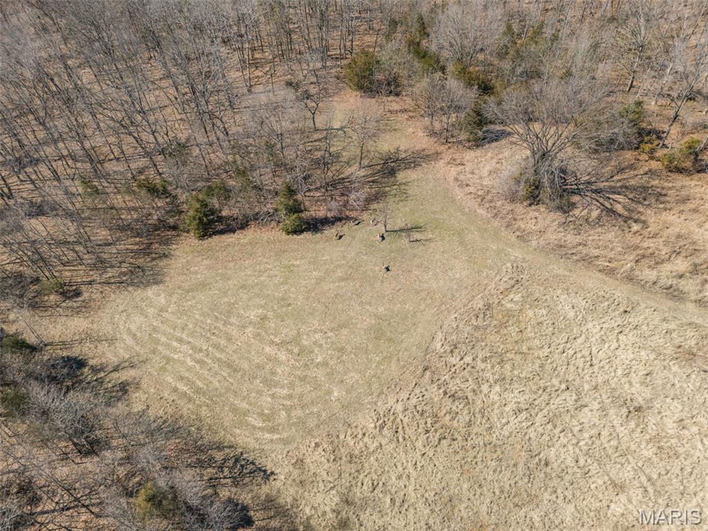 0 New Ortenau Road Ste. Genevieve, MO 63670 - Photo 23 of 48