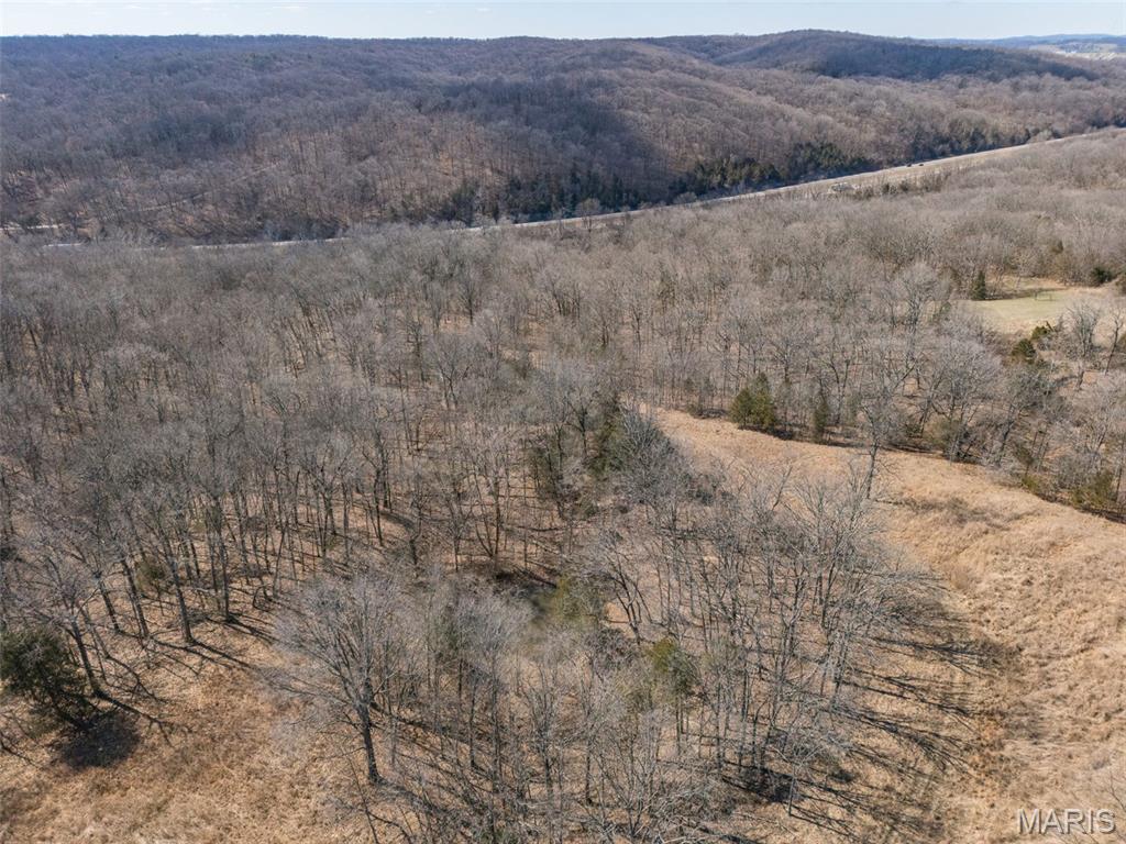 0 New Ortenau Road Ste. Genevieve, MO 63670 - Photo 25 of 48