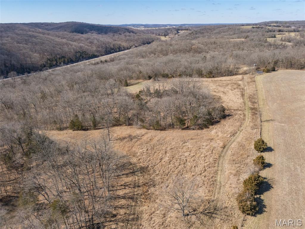0 New Ortenau Road Ste. Genevieve, MO 63670 - Photo 26 of 48