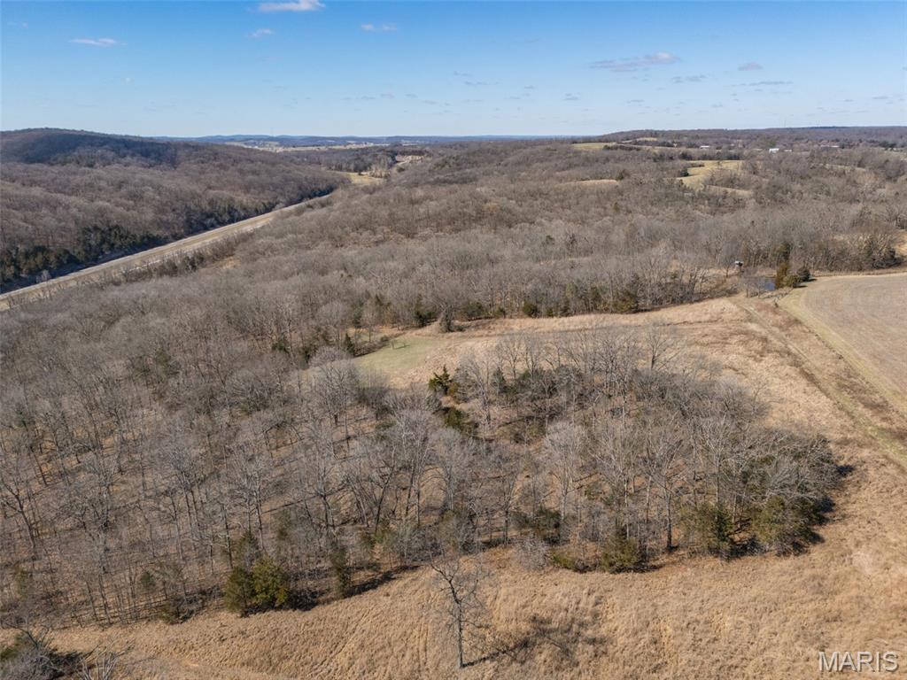 0 New Ortenau Road Ste. Genevieve, MO 63670 - Photo 27 of 48