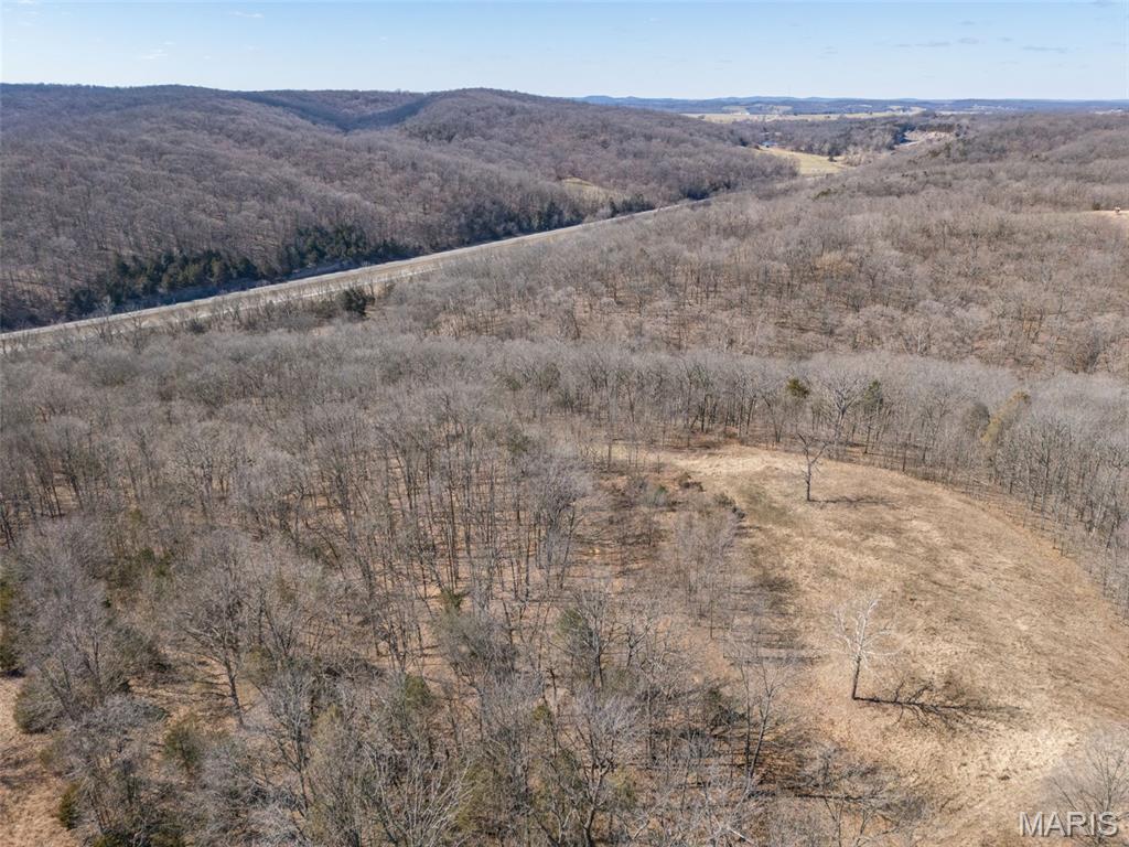 0 New Ortenau Road Ste. Genevieve, MO 63670 - Photo 30 of 48