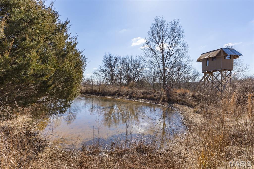 0 New Ortenau Road Ste. Genevieve, MO 63670 - Photo 3 of 48
