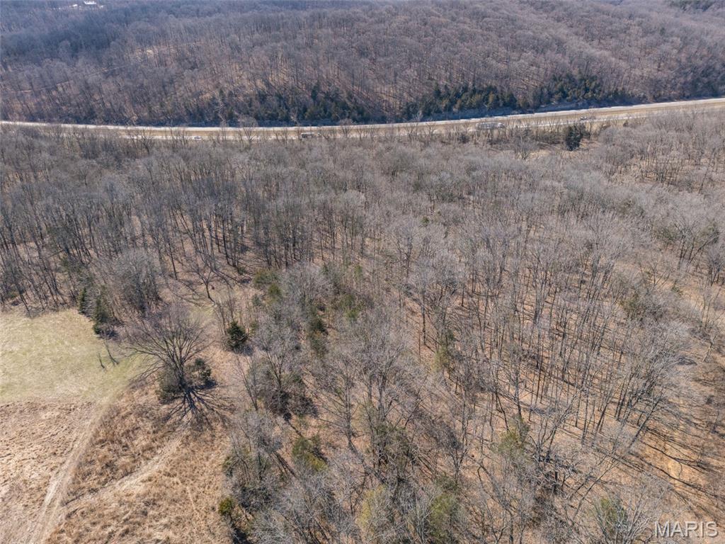 0 New Ortenau Road Ste. Genevieve, MO 63670 - Photo 31 of 48