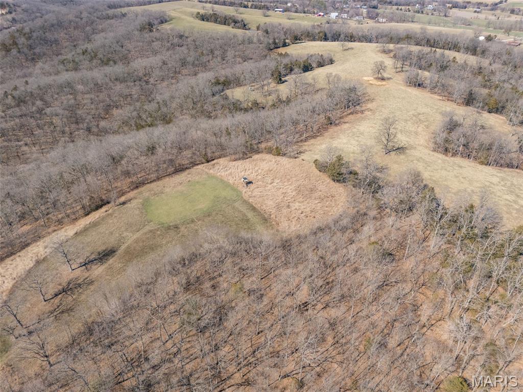 0 New Ortenau Road Ste. Genevieve, MO 63670 - Photo 32 of 48