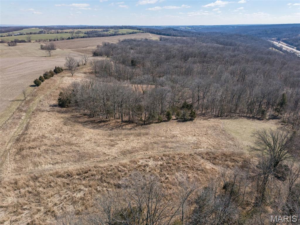 0 New Ortenau Road Ste. Genevieve, MO 63670 - Photo 40 of 48