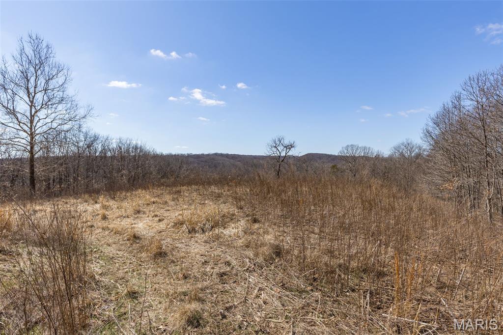 0 New Ortenau Road Ste. Genevieve, MO 63670 - Photo 4 of 48
