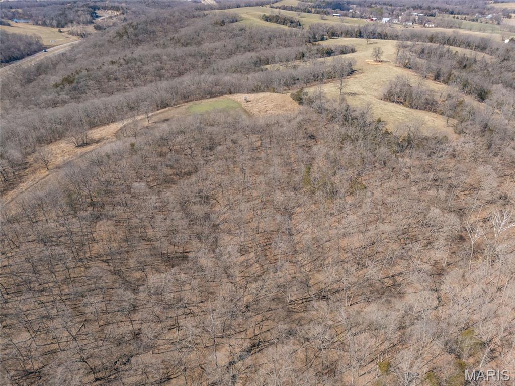 0 New Ortenau Road Ste. Genevieve, MO 63670 - Photo 42 of 48