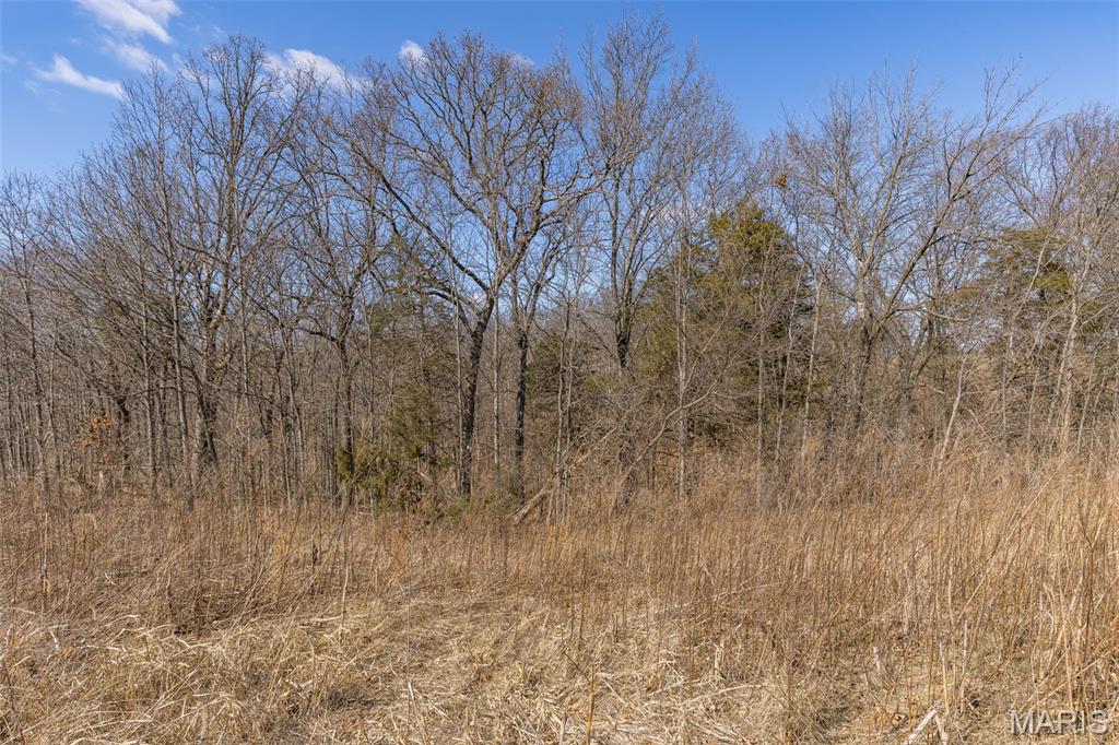 0 New Ortenau Road Ste. Genevieve, MO 63670 - Photo 7 of 48