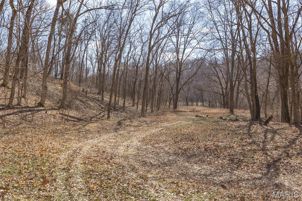 0 New Ortenau Road Ste. Genevieve, MO 63670 - Photo 8 of 48