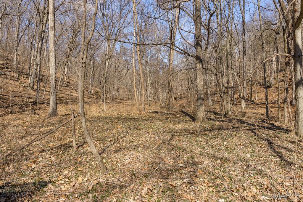0 New Ortenau Road Ste. Genevieve, MO 63670 - Photo 9 of 48