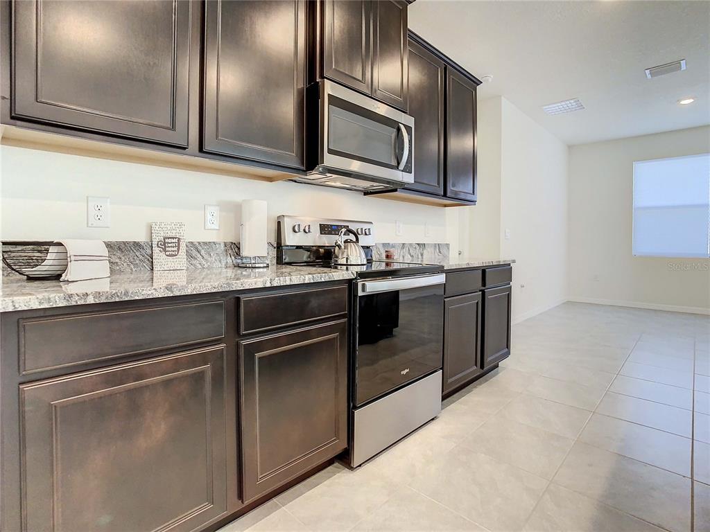 3786 Autumn Amber Dr Spring Hill Spring Hill, FL 34609 - Photo 20 of 63