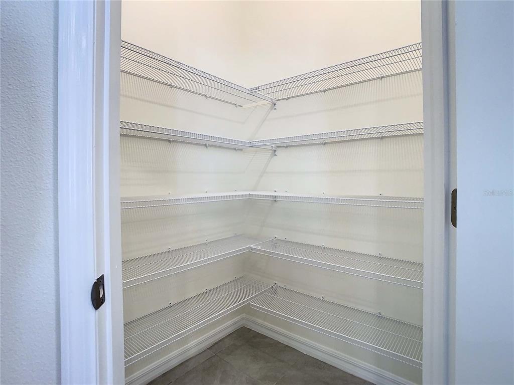 3786 Autumn Amber Dr Spring Hill Spring Hill, FL 34609 - Photo 22 of 63