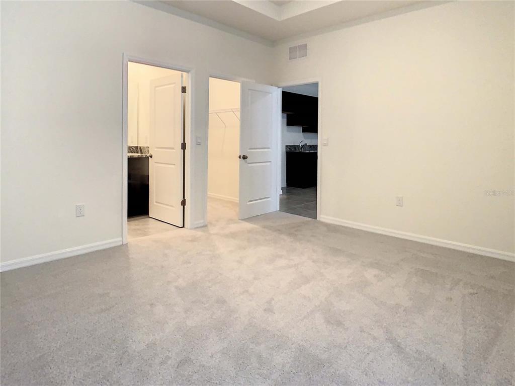 3786 Autumn Amber Dr Spring Hill Spring Hill, FL 34609 - Photo 32 of 63