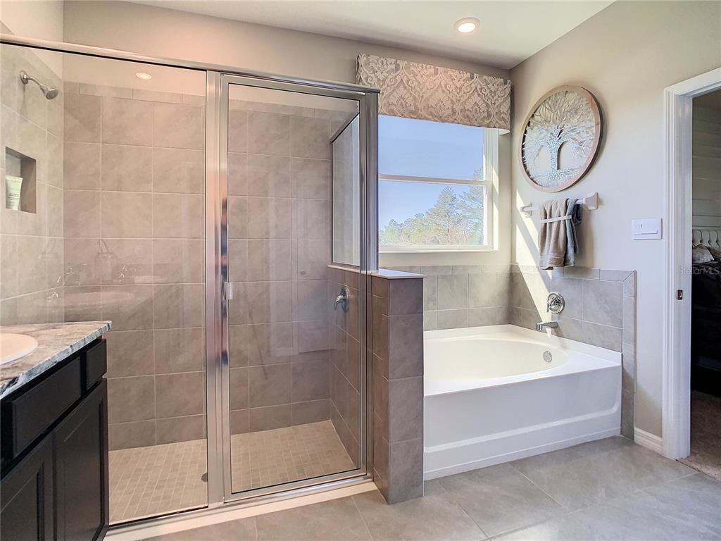 3786 Autumn Amber Dr Spring Hill Spring Hill, FL 34609 - Photo 53 of 63