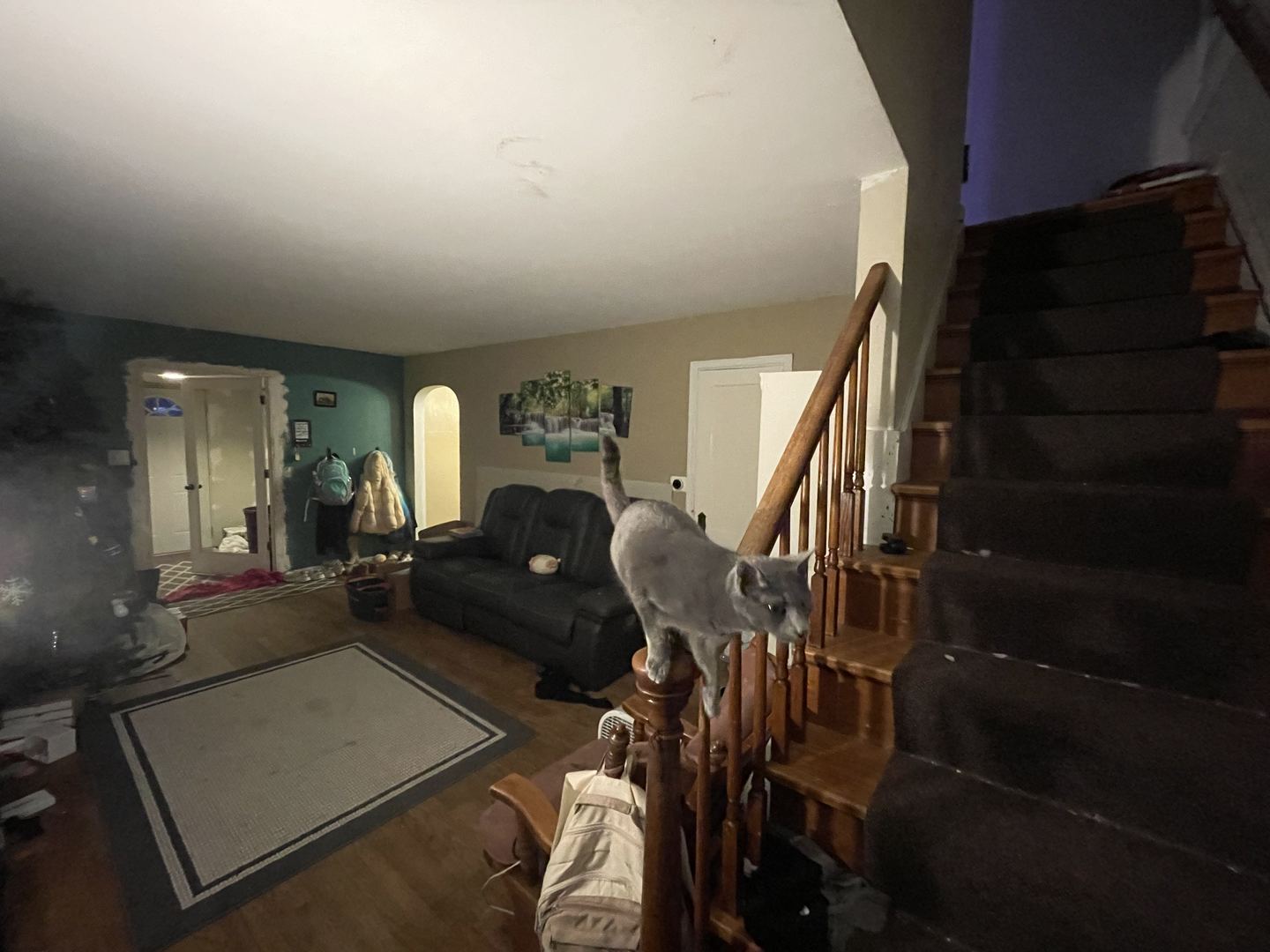 821 North 8th Street Rochelle, IL 61068 - Photo 6 of 50
