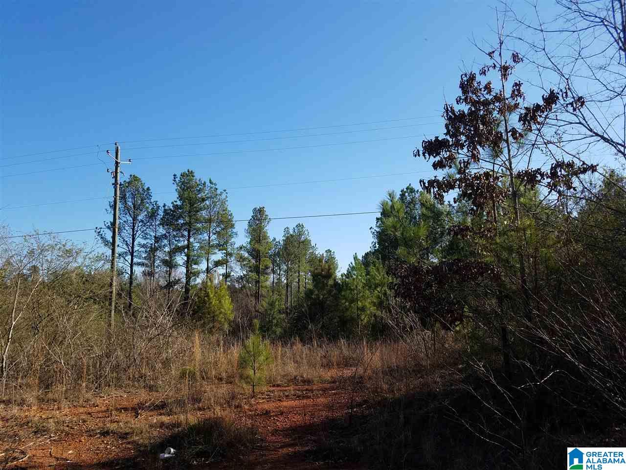 0 Cove Access Road, Unit 7 ACRES Talladega, AL 35160 - Photo 18 of 19
