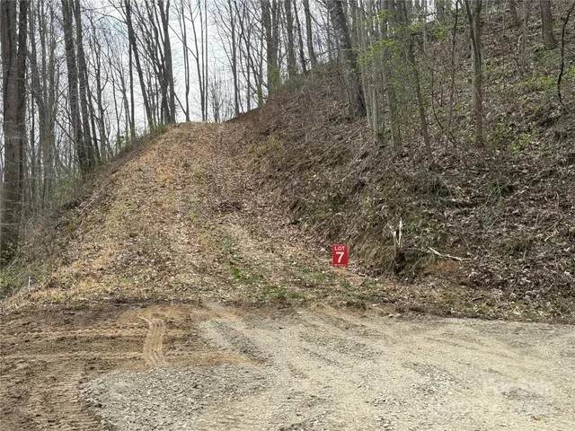 a view of a dry yard with trees and bushes
