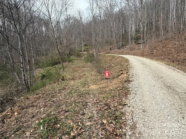 a view of swing and tree