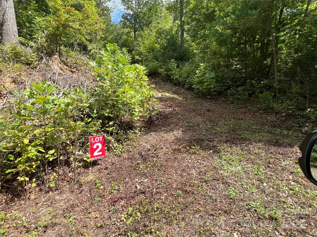 a view of a space with a tree