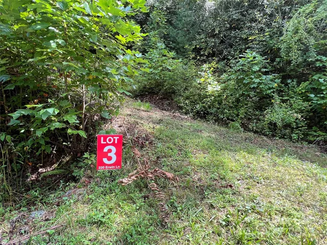 a sign of golf club on a tree