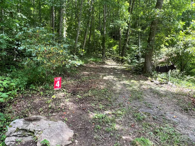 a view of a fire pit with large trees