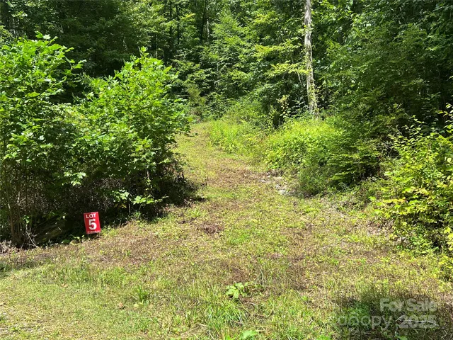 a view of outdoor space and garden