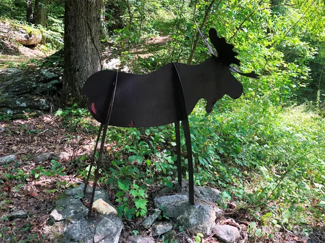 a view of a tree in a garden