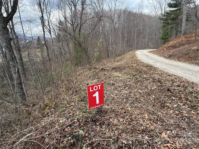 a view of a tree with a bench