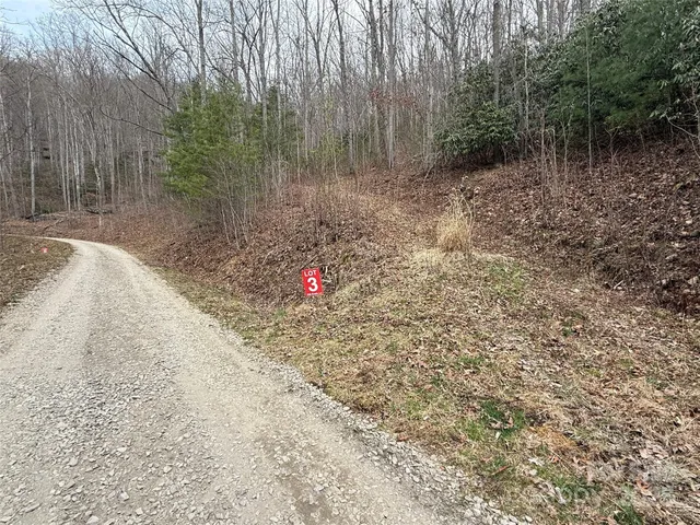 a view of a backyard with trees