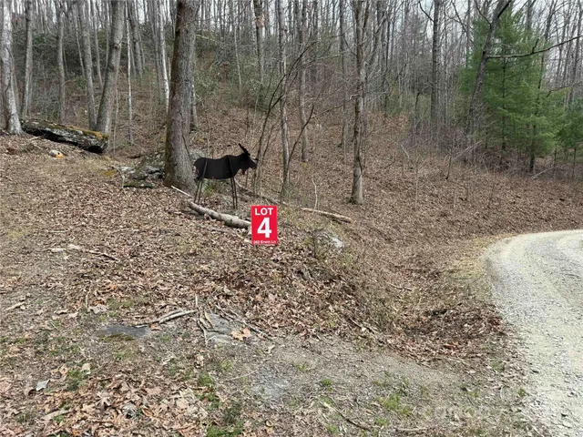a view of a wooden door and a yard