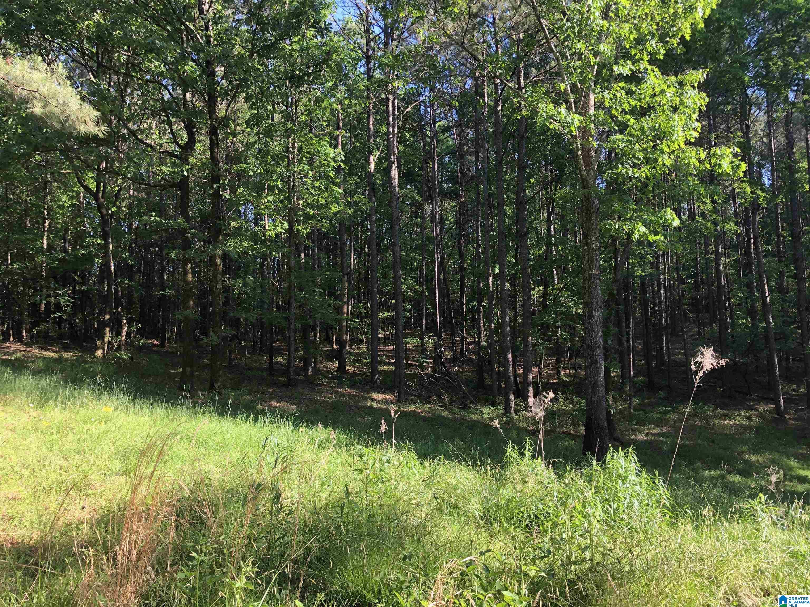 61 Copper Road Columbiana, AL 35051 - Photo 3 of 15
