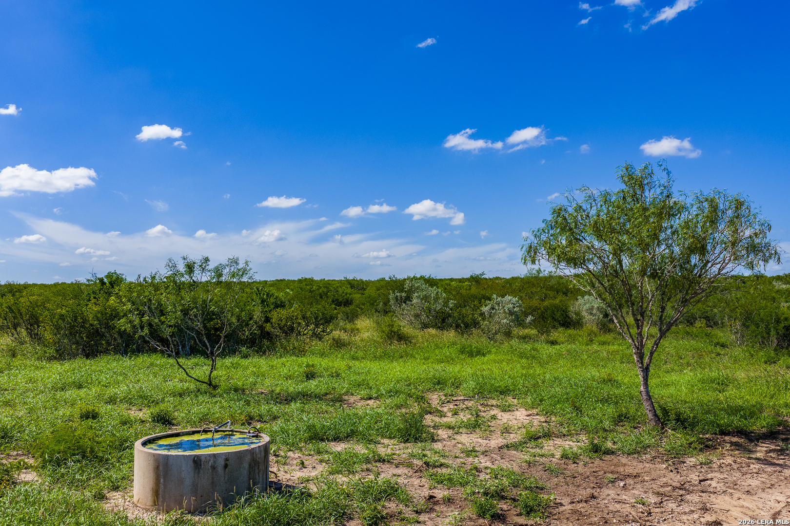 111 Los Lomas Ranch Road Freer, TX 78357 - Photo 24 of 31