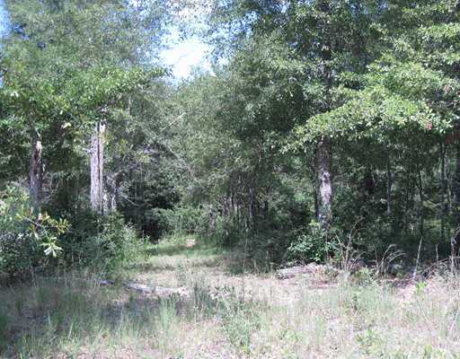 Beesley Road Lucedale, MS 39452 - Photo 1 of 5 Primary Photo