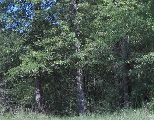 Beesley Road Lucedale, MS 39452 - Photo 2 of 5 Additional Photo