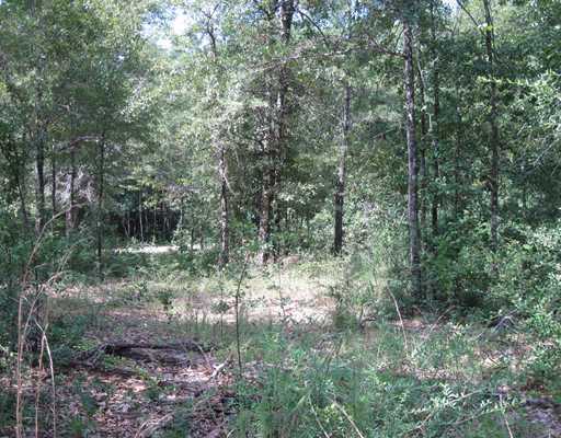 Beesley Road Lucedale, MS 39452 - Photo 3 of 5 Additional Photo