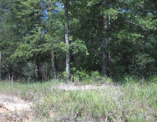 Beesley Road Lucedale, MS 39452 - Photo 4 of 5 Additional Photo